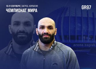 Cеребро чемпионата мира